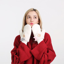 Japanese Exploits Imported Teddy Suede Hanging Neck with Lady Gloves Double Layer Thickened Warm All Finger Women Gloves Winter