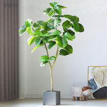Roman Mother Nordic Wind Emulation Plant Potted Loving Banyan Leaves Banyan Large Living Room Fake Green Planting Landing Bonsai