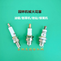 Gasoline saw lawn mower spark plug two punch four punch platinum lightning igniter Garden Machinery Accessories
