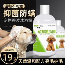 Pet Dog Bath Bath Shower Supplies Defense Defense and Defense of Ticky Teddy Bear Gold Hair Specialized Liquid Shampoo