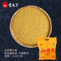  Shanxi specialty Qinzhou yellow millet 5 kg of whole grains coarse grains Qinzhou farm confinement millet porridge new rice