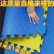 Taekwondo mat 1m x 1m thick dance room Martial arts dojo training mat High density double-sided non-slip custom