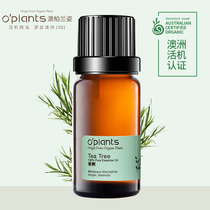 OPlants Single Tea Tree Essential Oil 10ml Repair Acne Skin Clean Pores Australia certified