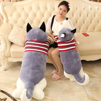 Husky doll gives girlfriend large dog bear plush toy Ragdoll doll cute sleeping pillow girl