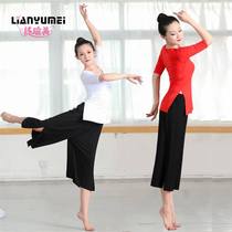 New Modern Dancing Gongfu suit Womens long section National Wind Kaifork Classical Dance Modale Square Dancing Costumes