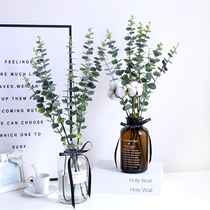 Simulation Dry Cotton Photography Props Glass Vase Tabletop Flower Arrangement Art Senteal Nets Red Withered Green Leafy Plant Bedrooms