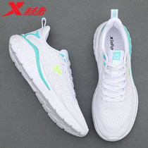 Special Step Men Shoes 2022 Summer New Running Shoes Net Face Running Shoes Middle School Students Casual Black Spring Sports Shoes