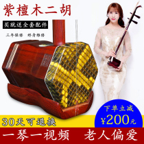 Caishi Changyao Erhu Musical Instrument Suzhou Xiaoye Rosewood Professional Orchestra plays adult old mahogany Erhuqin