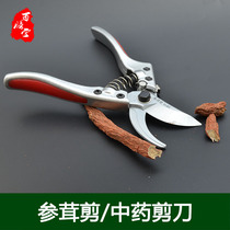 Chinese medicine scissors Ginseng scissors American ginseng scissors Pharmacy whisker root scissors Ganoderma lucidum fish glue scissors Ginseng antler scissors Medicinal pruning branch scissors