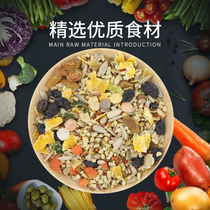 Ha bird small and medium-sized parrot shellless feed bird food feed bird food mixed grain grain Golden Sun monk nourishing pill