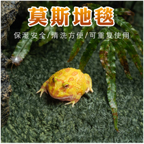 Climbing corner frog lizard breeding box moistle mat amphibious rainforest-type moisturizing mattress crawler crawler cylinder