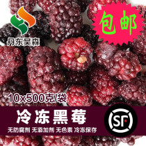 (Yuzhen_frozen BlackBerry 10kg) Fresh Frozen Black Raspberry Whole Grain nationwide
