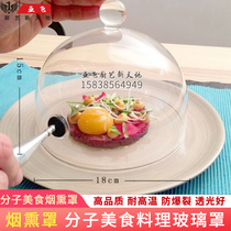 Smoked Gun Machine Spanish molecular cuisine perforated smoker hood smoke cover smoked cocktail incense