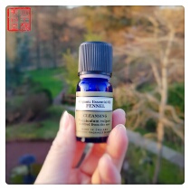 UK NYR Sweet Fennel Organic Single Essential Oil 10ml Fennel Cleaning Spot Help Digestion