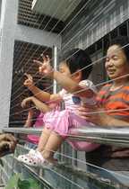 Wuzhishan Qionghai Danzhou Wenchang Wanning Oriental Dingan Tunchang Chengmai Lingao Invisible Protection Anti-theft Bar Window Net