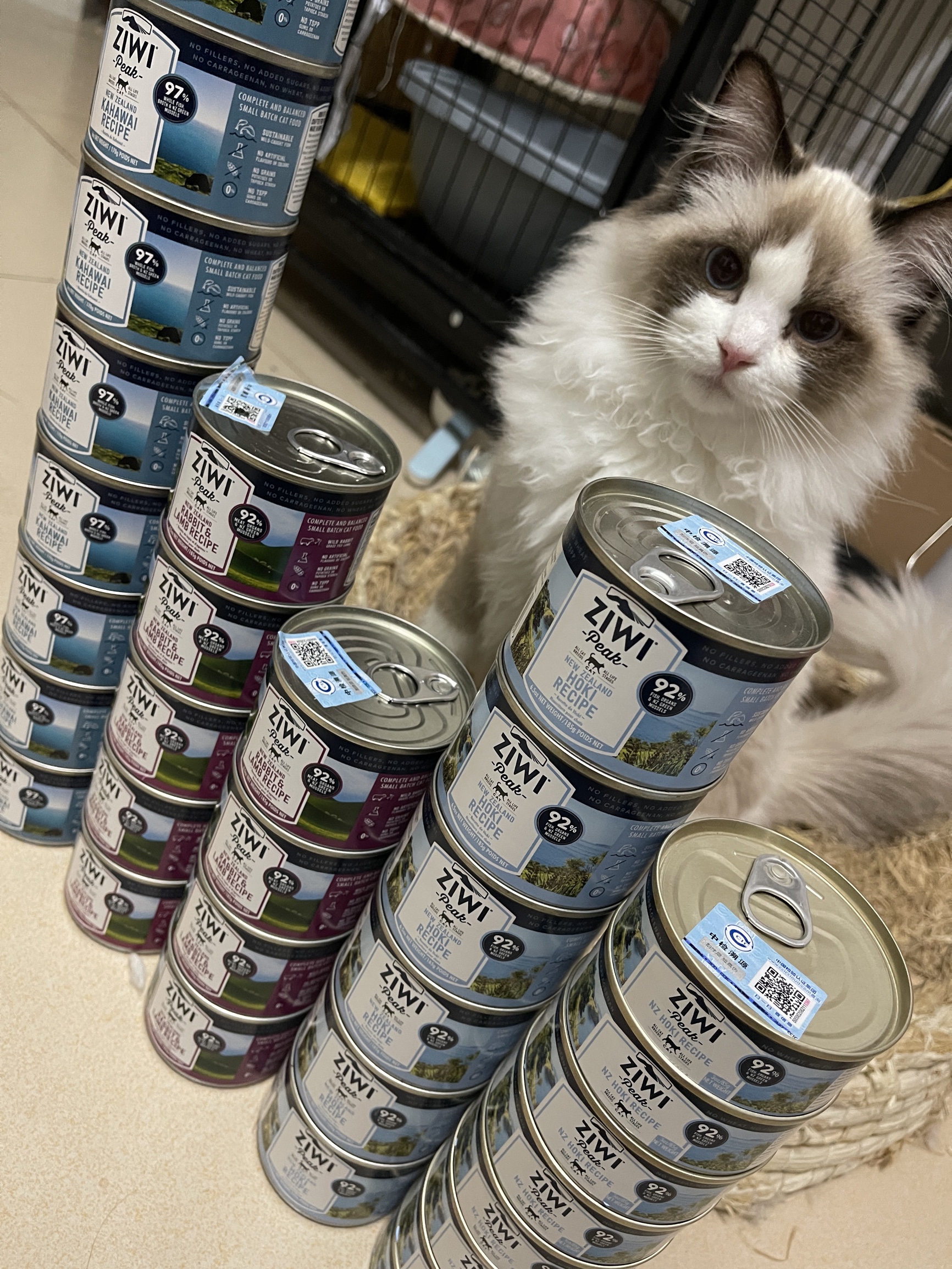 质量评测巅峰1700猫咪特色零食好不好用?怎么样呢?真相评测揭秘