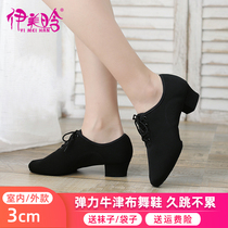 Yimei Han female adult Latin dance shoes Middle cloth teacher shoes modern dance shoes sailors dance shoes soft bottom ballroom dance