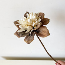 Pine fruit dried flower bouquet Nordic wind ins simple hipster living room home decoration ornaments eternal flower pine cones