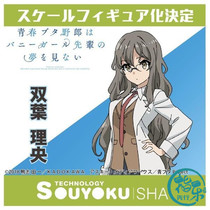 First book the two-wing club the adolescent fool does not do the dream of the bunny girl sister