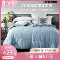 Hongrun home textile 95%white goose down cold feeling thin quilt Air conditioning quilt summer down quilt Mica cool feeling summer cool quilt