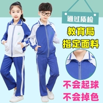 Shenzhen School Uniform uniform Primary School students winter sportswear winter sportswear men and women suit jacket long sleeve jacket plus velvet trousers