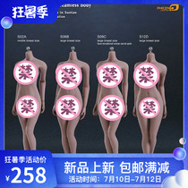 PHICEN 1 6 TBLeague Steel bone plastic-coated female prime body S02A S06B S09C S12D Spot