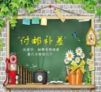 The postage supplement is special for the price difference