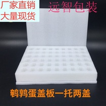 Pearl Cotton Luding Egg Toquail Foam Egg Toosmans Tug Packing Box Express Shockproof Anti-Fall Custom