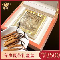 Cordyceps Sinensis gift box Tibet Naqu Cordyceps Sinensis Cordyceps dry goods gift to the elders 4 per gram