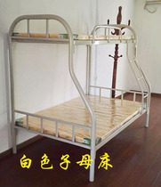Shenzhen iron bed bunk bed iron bed staff dormitory iron frame bed mother bed 1 2 meters upper and lower bed height 1 5 meters