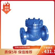 Amico 6498B swing check valve H44T-16 flange DN50 65 80 100 150 200-300