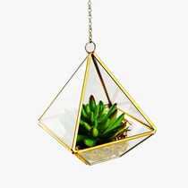  All-copper hanging hanging glass greenhouse Eternal Life Flower Vase Chubby diamond-shaped fleshy micro landscape flower vase