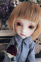 BJD SD doll 6 points 3 0 nicole joint doll