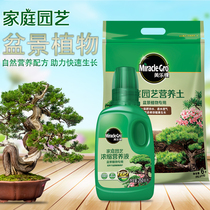 Melody bonsai type special nutrient soil horticulture pine cypress plant potted grain planting flower clay soil liquid fertilizer