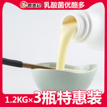 Chammerilun 1 1kg * 3 bottles of original taste Youcheese Multi-concentrated yoghurt lactic acid bacteria milk tea shop Commercial raw materials