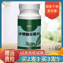 Seabuckthorn and Cordyceps sinensis tablets fruitless and easy plant Time era of ginseng Cordyceps Militaris fruit tablet candy