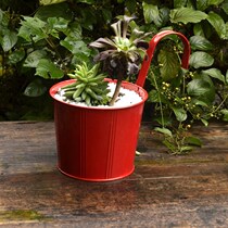 日韩系列园艺家居彩色吊盆花盆阳台挂盆镀锌铁式悬挂垂吊花盆