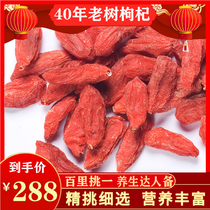 Wo Fu Bai Rui Ningxia Special Excellent Chinese wolfberry 2019 Ningxia Gou fresh dried fruit sulfur-free male kidney 200g bulk