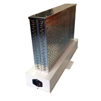 Liaoning Liaoyang manufacturer price light hydrogen ion purification device single-ended nano catalyst purifier