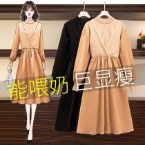 Breast-feeding clothes out of hot mother Spring Autumn Clothing Fashion Outwear Dress Autumn Winter Beating Bottom Postpartum Breastfeeding Woolen Sweaty Women