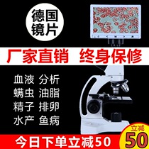 Germany 2000 times microscope professional biological HD one drop blood detector blood mites sperm Electronic Portable