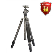 Ginnypho Puji Carbon Fiber Tripod Folded Portable Camera Tripod Set With Quick Remove 35832