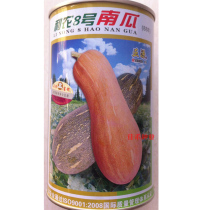 Honey pumpkins seeds early-maturing sweet dense seeds edible sweet and high-yielding spring sown vegetables seed seedlings