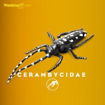 Wantmoin play model simulation celestial cow animal model toy bug insect series early education cognitive toy