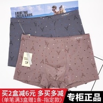 2 Wigeqi V JECKEY men's underwear fat pants waist flat angle modal cotton fat shorts