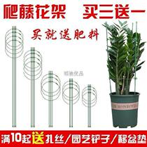 Wrought iron flower frame climbing cane iron dragon fruit corridor vegetable garden fruit tree fragrance vines fence grid frame fixing clip