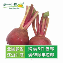 (Old one fresh) striped vegetable head fresh stripe radish spiral pattern vegetable head western food set plate 500g