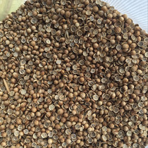 Agricultural and sideline products dried coriander seeds 500 grams long-term supply of a variety of Southeast Asian sauces raw materials gourmet snacks