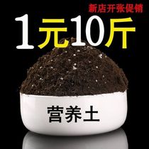 Flower soil nutrient soil household general-purpose flower planting soil 30kg organic flower fertilizer soil