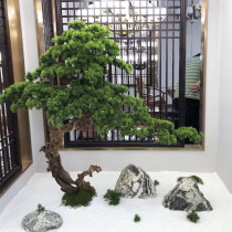 Simulation pine tree welcome pine bonsai pokan pine tree beauty pine entrance hotel lobby landscape soft decoration ornaments